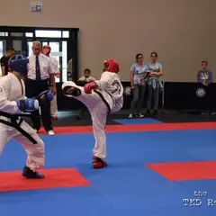 Association Taekwon-Do ITF Strasbourg