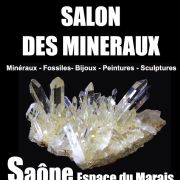 Salon des minéraux à Saône