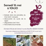 De la Vigne au Verre