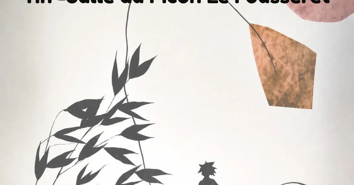 "Le Cerf-Volant" théâtre d'ombres