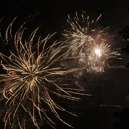 Fête du port