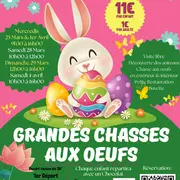 Chasse aux oeufs