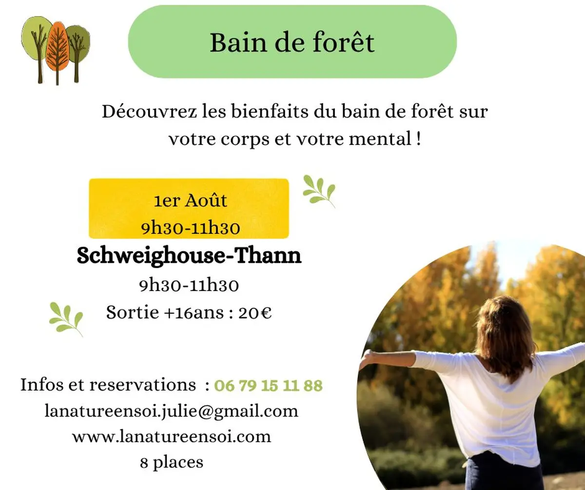 Sortie nature bain de forêt