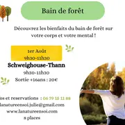 Sortie nature bain de forêt