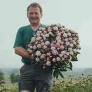 Visite de la ferme Schneider et découverte de la culture des fleurs