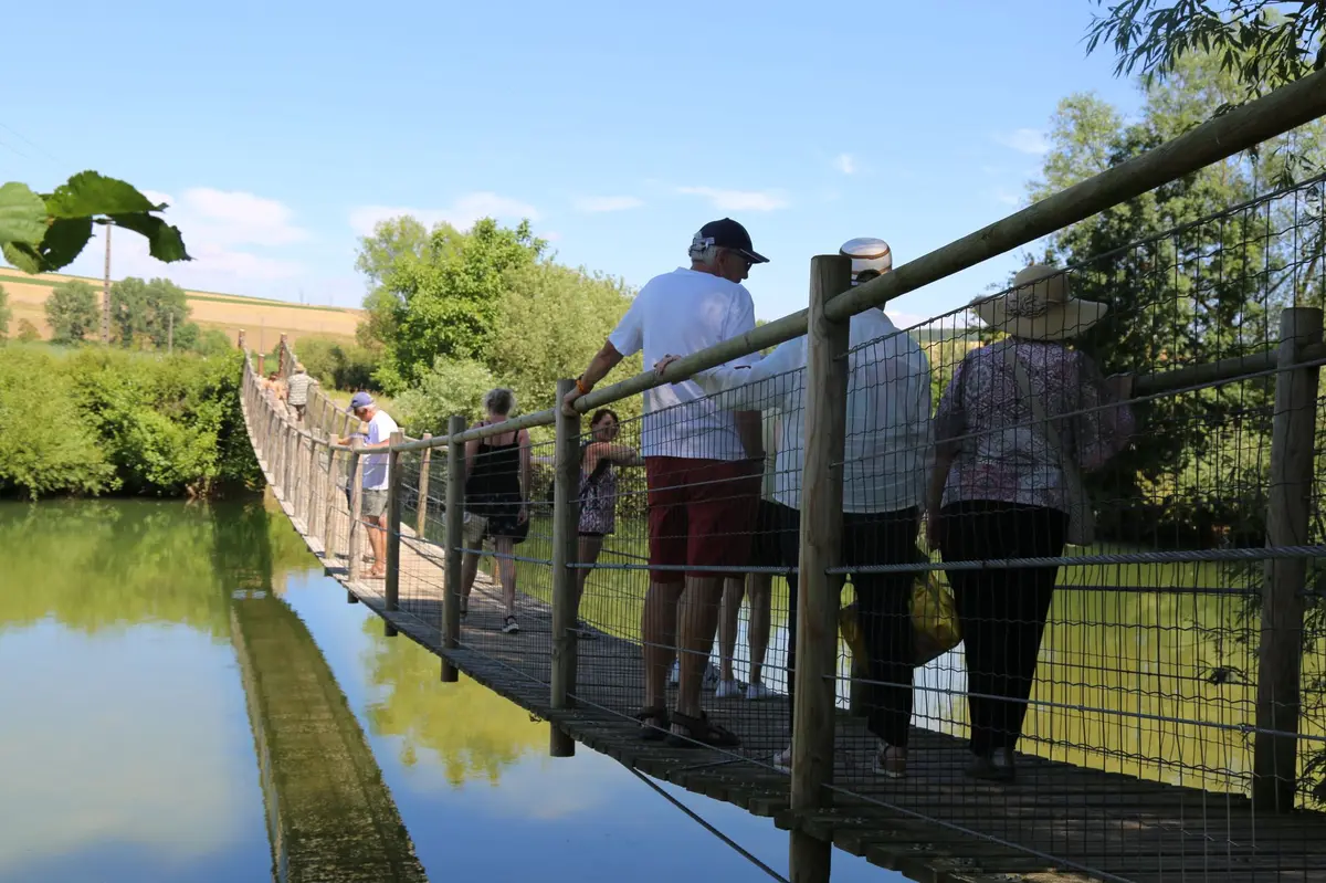 Visite guidée - Autour de l’eau