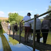 Visite guidée - Autour de l’eau