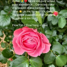 Le Festival de la Rose Sacrée