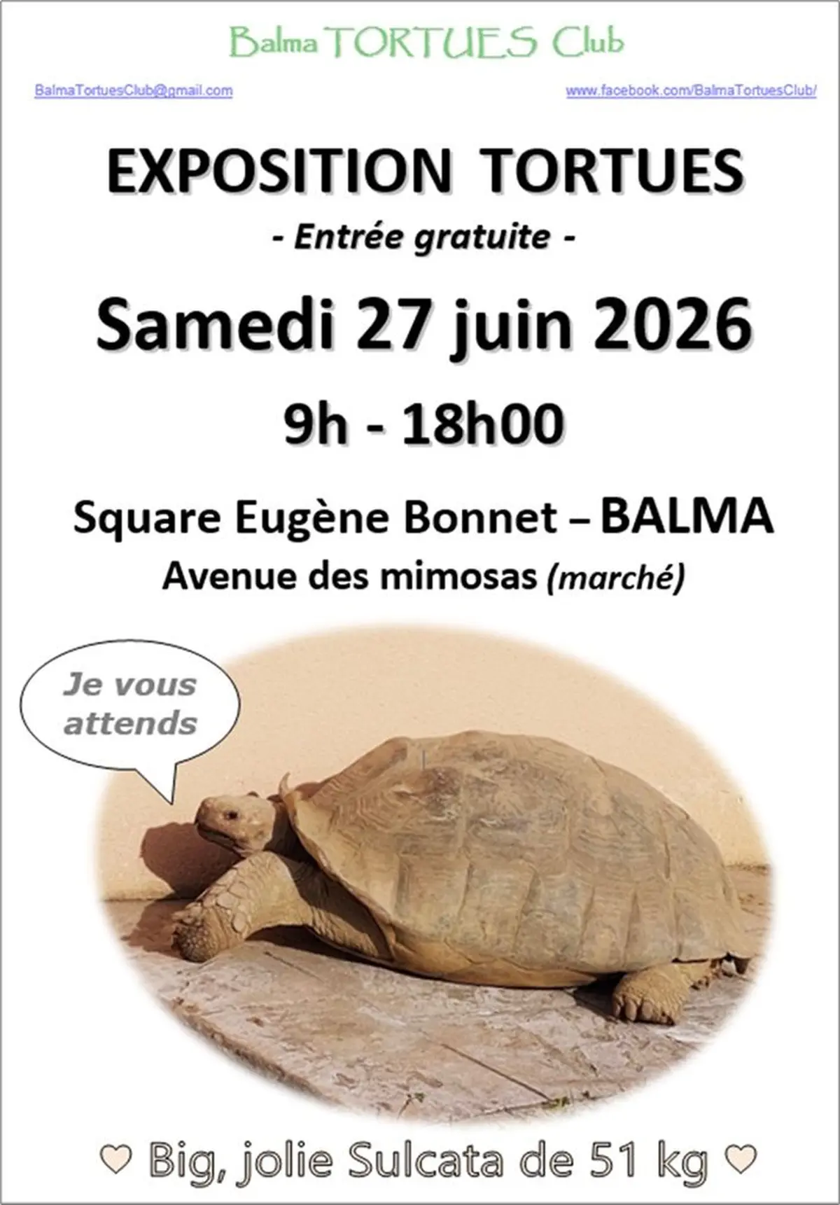 Exposition de tortues