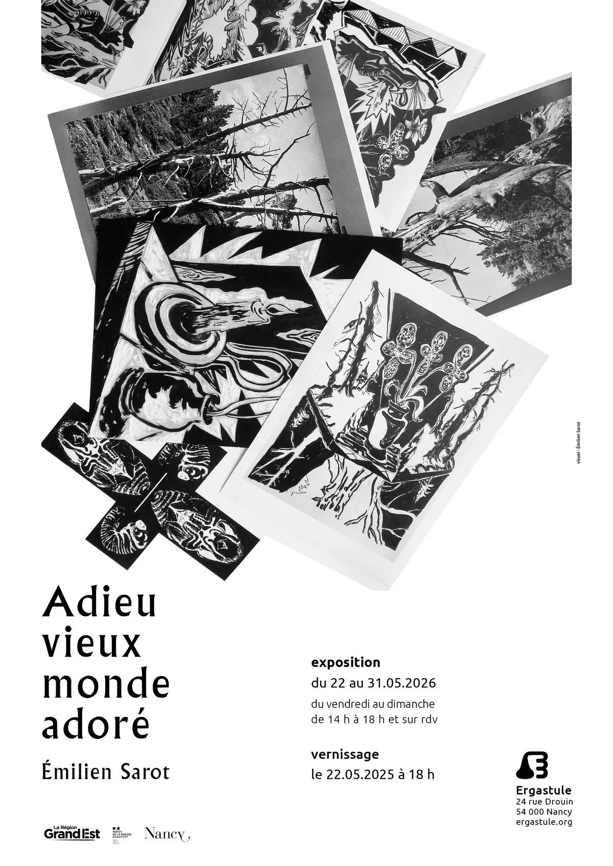 Adieu vieux monde adoré - Émilien Sarot