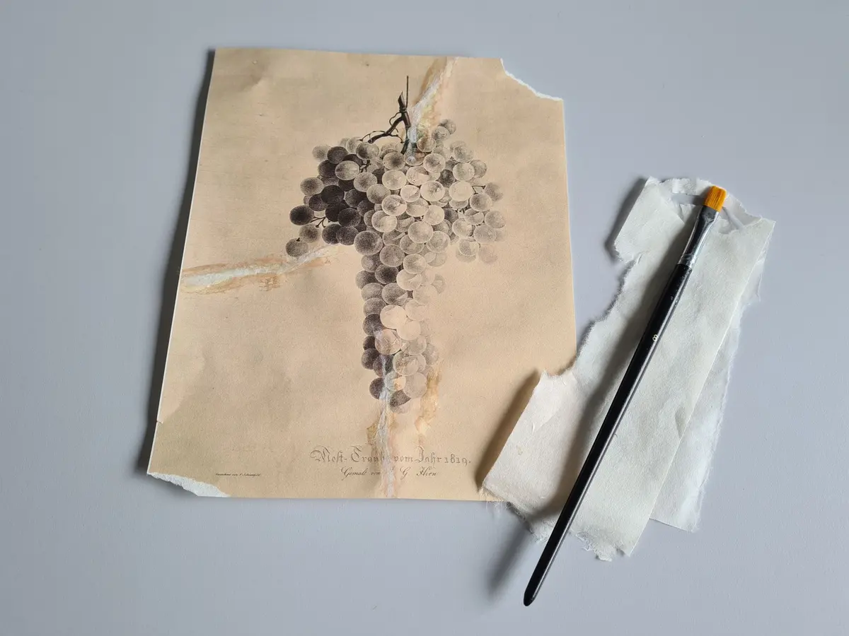 Dans l'atelier d' Engelmann 