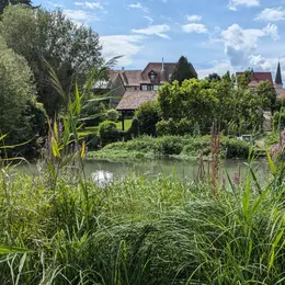 JNC : à la découverte du Giessen à Biesheim