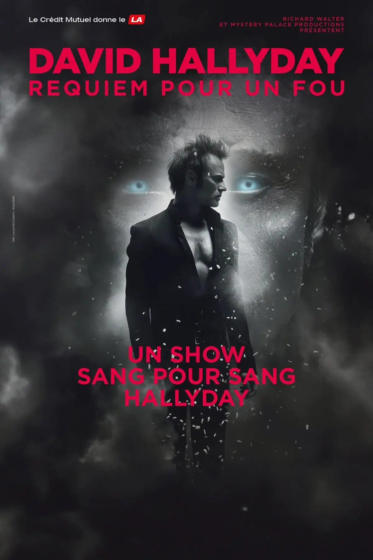 David Hallyday Requiem pour un fou