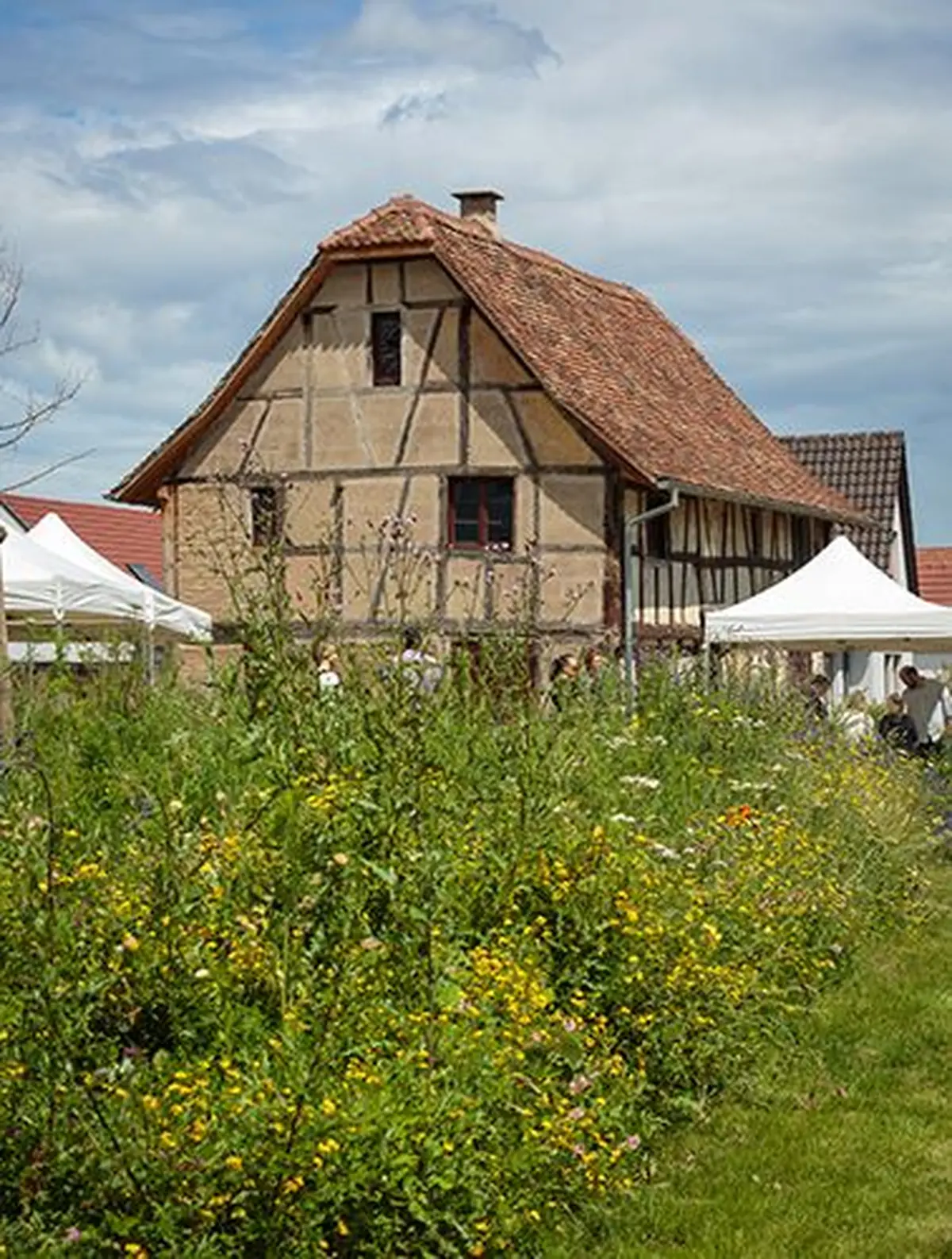 Goûter au verger du Dinghof