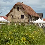 Goûter au verger du Dinghof