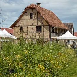 Goûter au verger du Dinghof