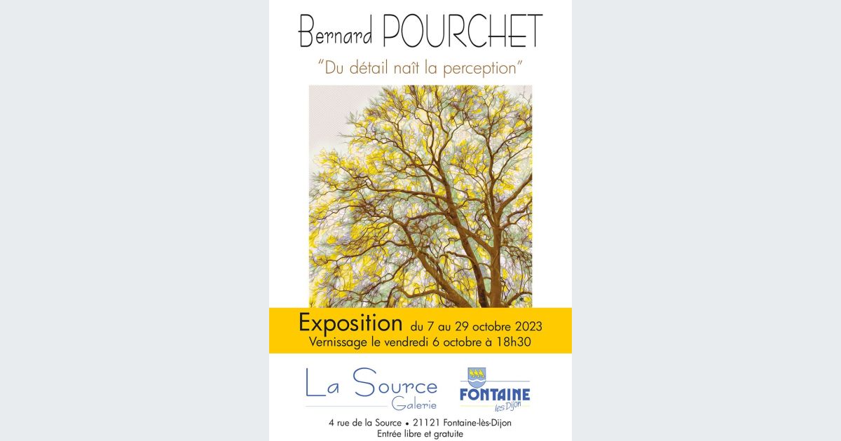 Bernard Pourchet: Exploring the Printed Universe of Digital Art