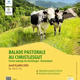 Balade pastorale : la balade du Christlesgut