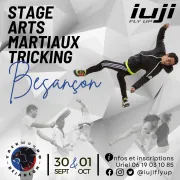 Stage d\'arts martiaux tricking - Taekwondo Club Besançon feat iuji