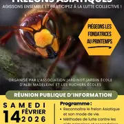 Lutte contre les frelons asiatiques -Réunion publique 