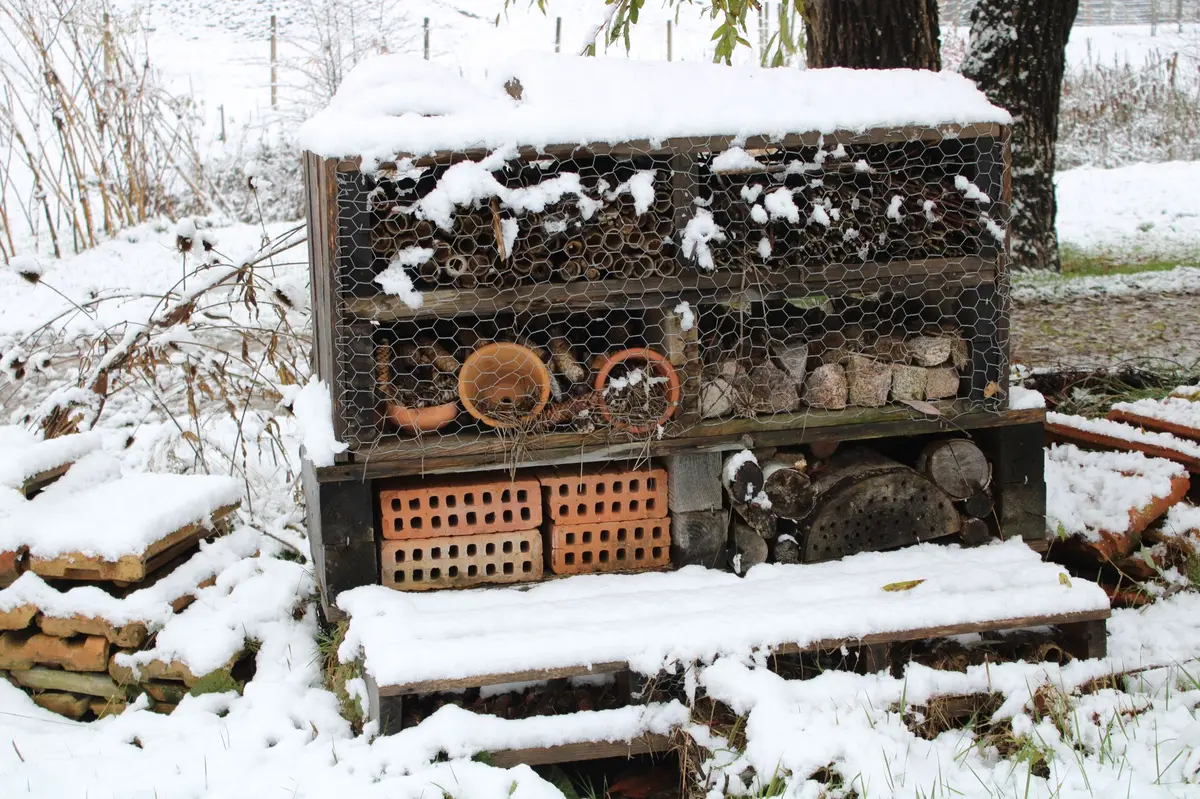 Atelier : Hôtels à insectes