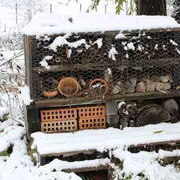 Atelier : Hôtels à insectes