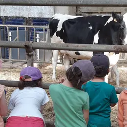 Jeudi matin à la ferme