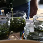 Atelier : Fabrication d'un baume végétal