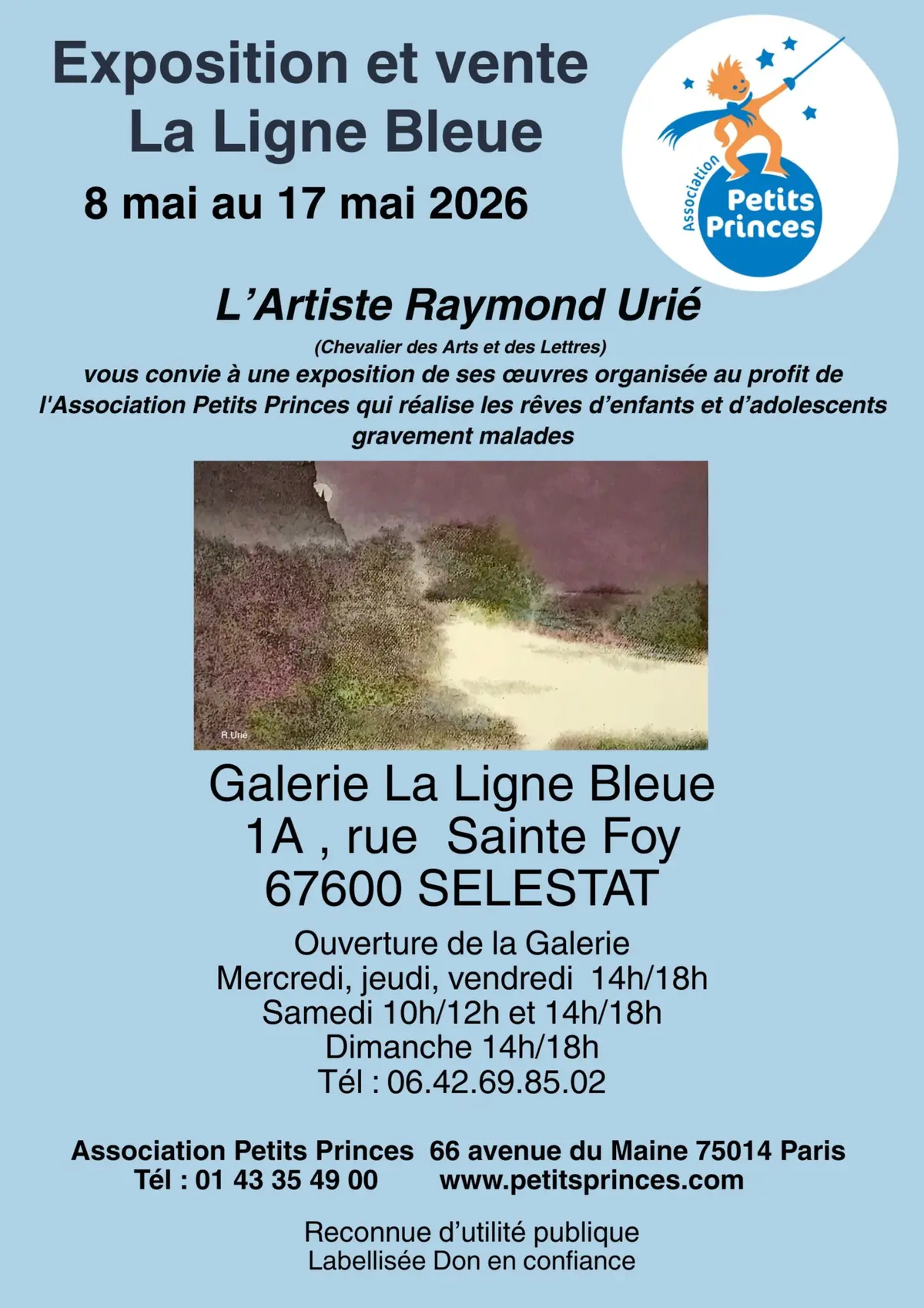 Exposition et Vente d'Oeuvres d'Art au profit de l'association Petits Princes