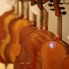 Lutherie d'art 