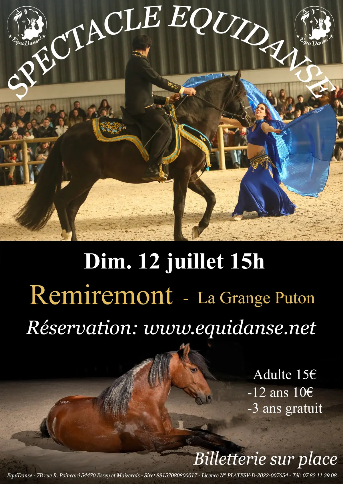 Spectacle EquiDanse à Remiremont