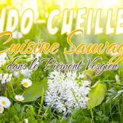 Rando-Cueillette / Cuisine Sauvage dans le Piémont d'Alsace