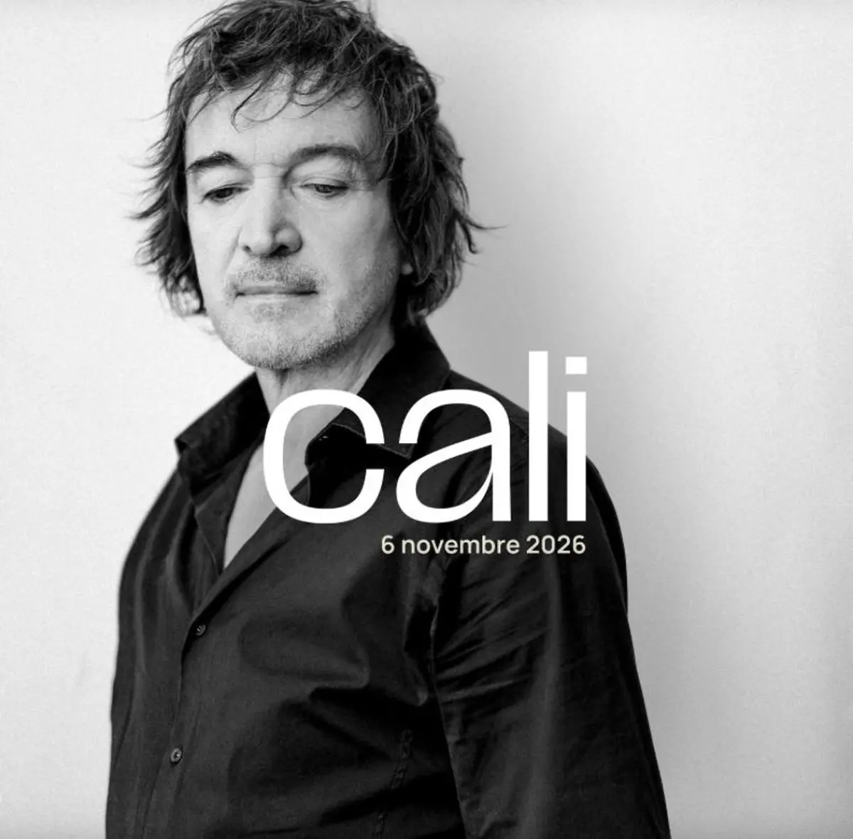 Cali • en concert au Domaine le Mezo