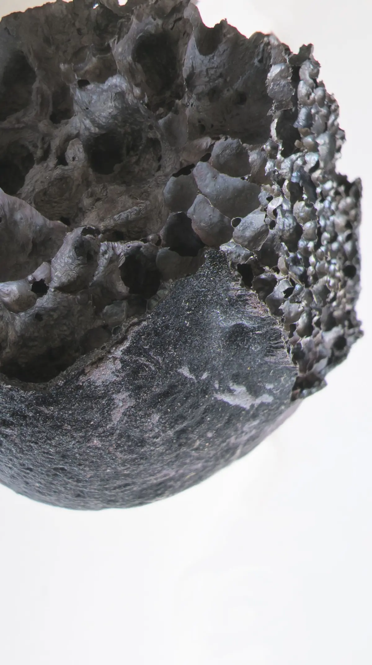 1h, 1 labo, 1 œuvre : discussion entre Liva Dzene et Iva Sintic