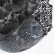 1h, 1 labo, 1 œuvre : discussion entre Liva Dzene et Iva Sintic