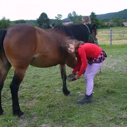 Tous avec les Poneys