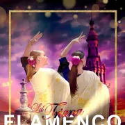 Danse flamenco spectacle de fin d\'année
