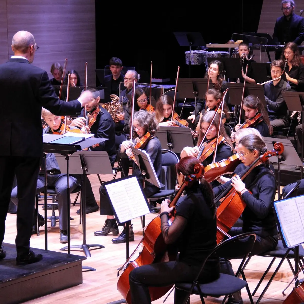 L'Orchestre des Jeunes de l'Arc Alpin