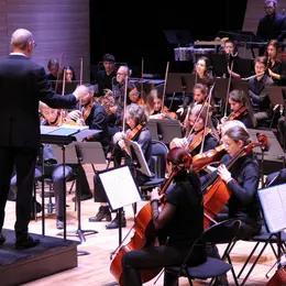L'Orchestre des Jeunes de l'Arc Alpin