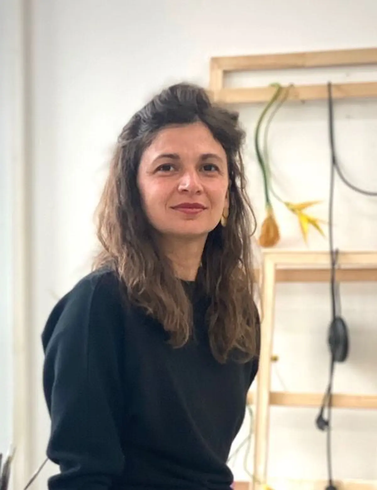 La couleur : histoire culturelle et matérielle