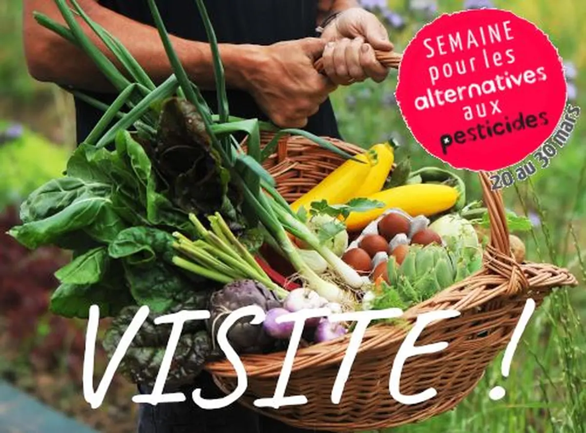 Visite maraîcher Bio à Floirac samedi 21 mars 2026 à 11h 