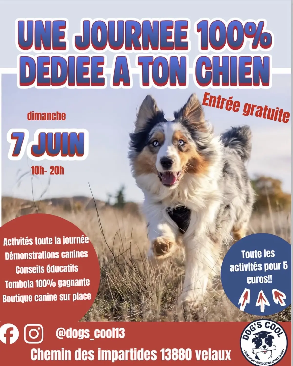 Journée dédiée au chien