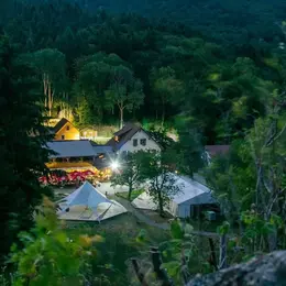 Week-end Nature & Voix : osez révéler votre voix au cœur de la nature