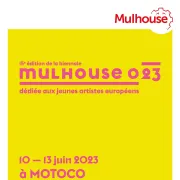 Biennale Mulhouse 023