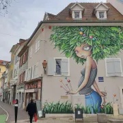 Visite guidée Street Art à Mulhouse