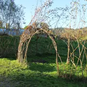 Journée participative - Tressage de saule vivant