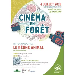 Cinéma en forêt de Haguenau