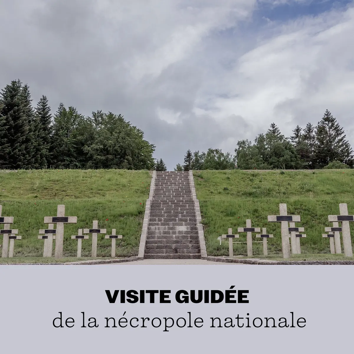 Visite de la nécropole nationale du Struthof