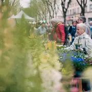 Marché aux plantes de Villeurbanne 