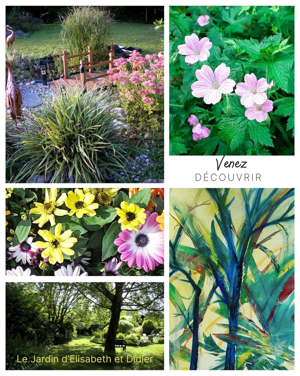 Le Jardin à travers les Yeux